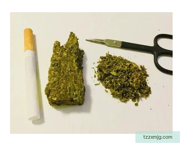 康迪特视角下的大麻争议与社会影响深度解析 康迪特视角下的大麻争议与社会影响深度解析